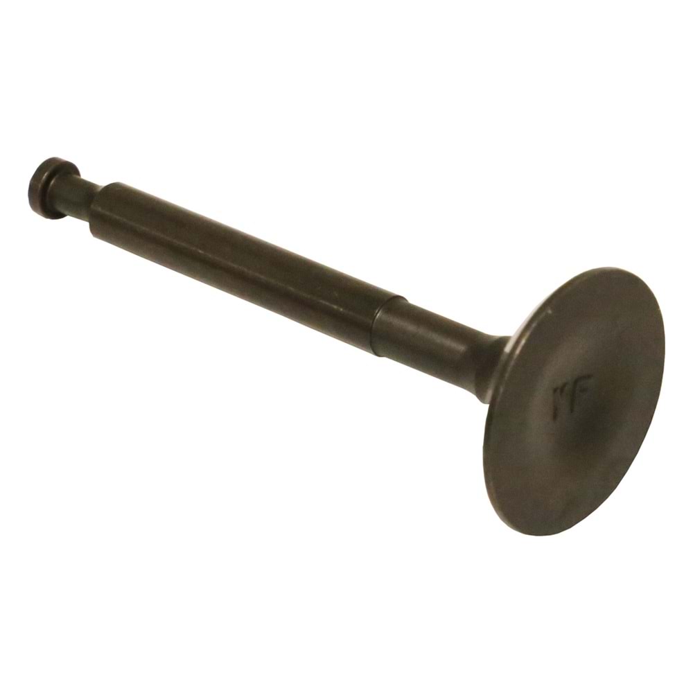 BENZİNLİ MOTOR SUPAP EMME PALMERA PA15T 1.5HP