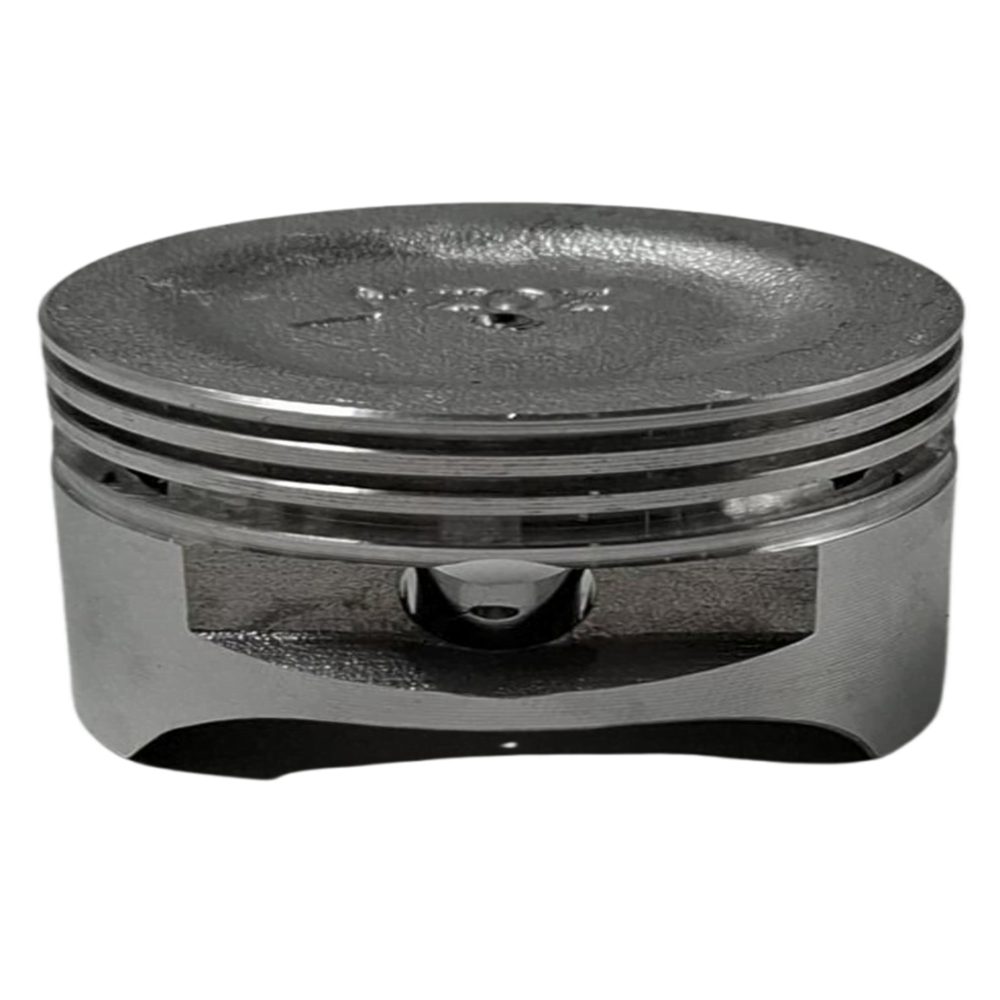 MOTORLU TESTERE PİSTON SEGMAN ALPİNA/CASTOR 360/370/390/411/410 39 MM ALP