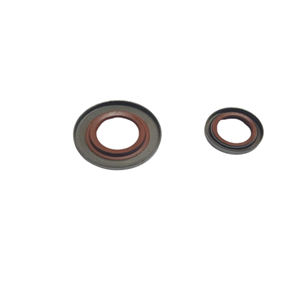 MOTORLU TESTERE KRANK KEÇESİ STI. 660 TAKIM VETA