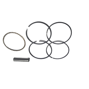 MOTORLU TIRPAN PİSTON SEGMAN HONDA GX35 39 MM ALP