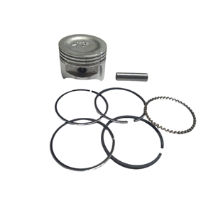 MOTORLU TIRPAN PİSTON SEGMAN HONDA GX35 39 MM ALP