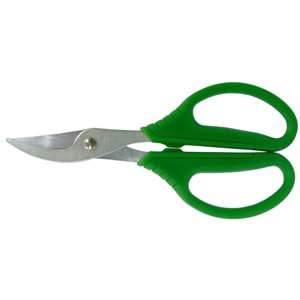 BUDAMA MAKASI ÇİÇEK 16 CM
