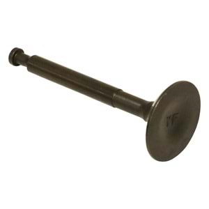 BENZİNLİ MOTOR SUPAP EMME PALMERA PA15T 1.5HP